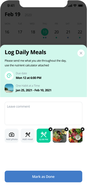 meal plan