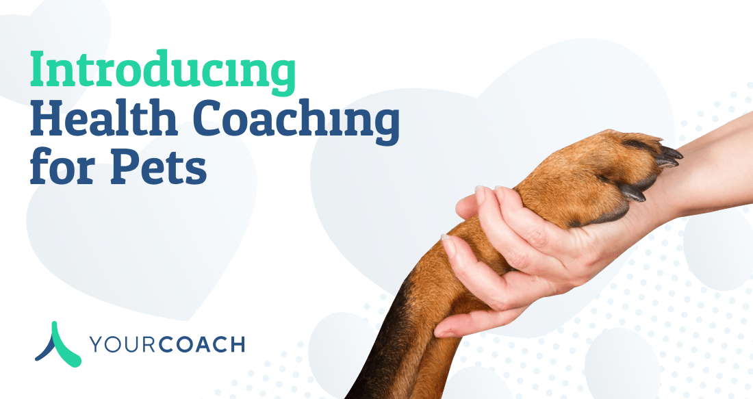 YourCoach Introduces Health Coaching for Pets